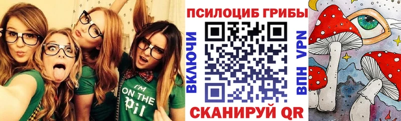 Псилоцибиновые грибы прущие грибы  OMG рабочий сайт  Ладушкин 